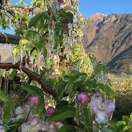 Klostergut Farm stay Castelbello